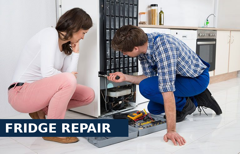 Fridge Repair Colindale